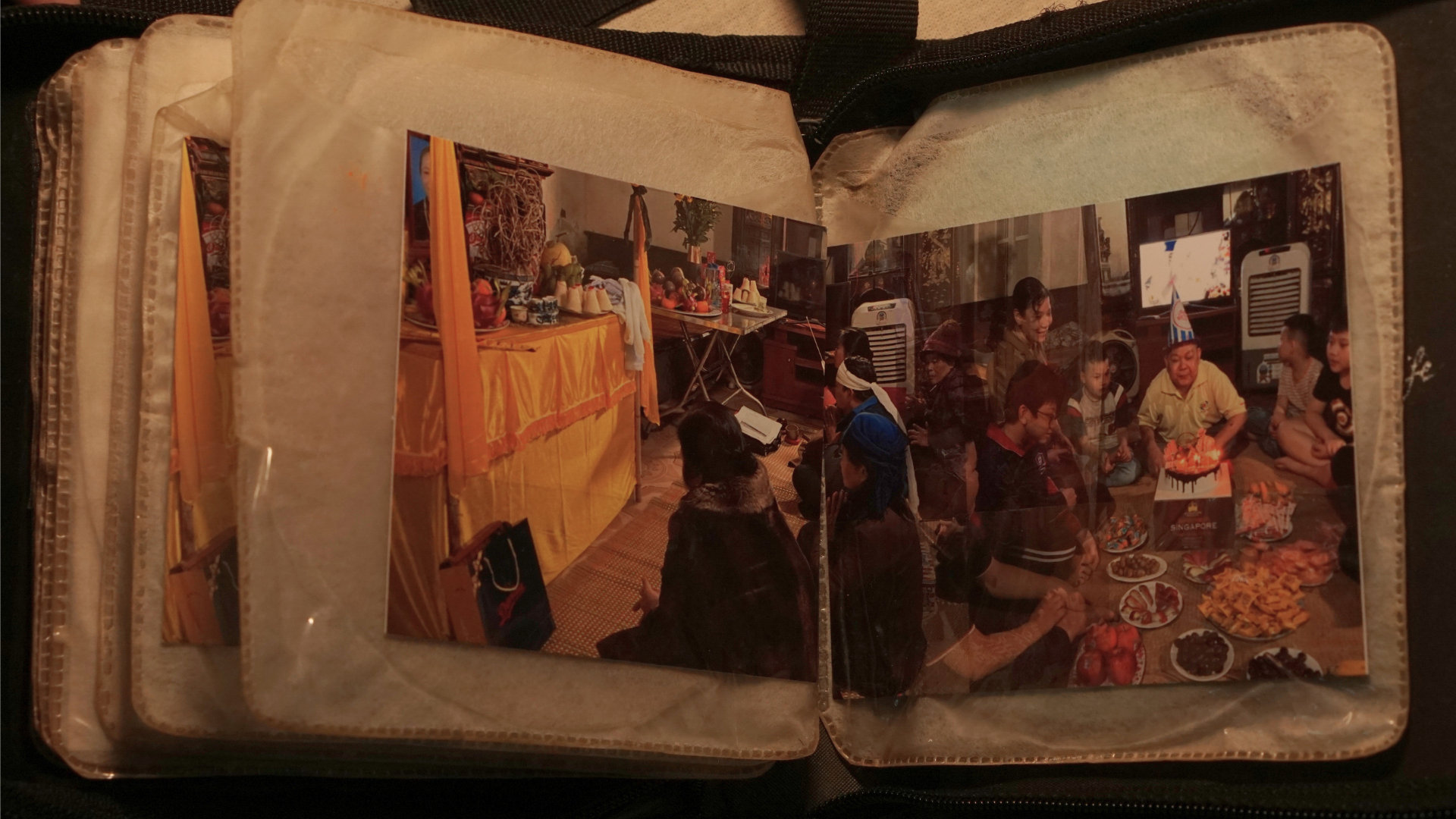 (signed) This Is Not What Thought / Yuri Hasegawa